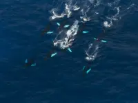 کاوشگران اقیانوس-OceanXplorers3