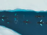 Planet Earth III -سیاره زمین ۳-1