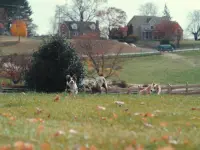Inside the Mind of a Dog-درون ذهن یک سگ۴