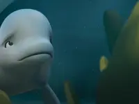 نهنگ سفید شجاع-Katak: The Brave Beluga1