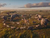 موفاسا: شیرشاه-Mufasa: The Lion King3