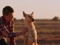 شانس باکلی- Buckley's Chance۵