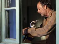 دوست پنگوئن من-My Penguin Friend1