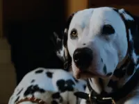۱۰۱ سگ خالدار-101 dalmatians
