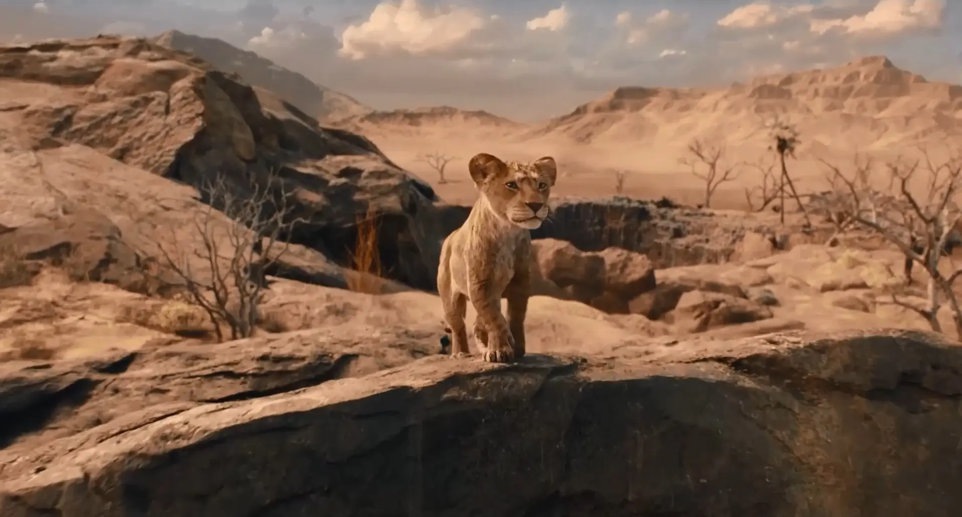 موفاسا: شیرشاه-Mufasa: The Lion King1