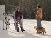سگ اسکی باز-Powder Pup4