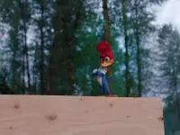 دارکوب زبله-Woody Woodpecker