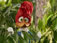 Woody Woodpecker Goes to Camp-دارکوب زبله در اردوگاه