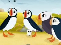 صخره پافین ها و دوستان جدید-Puffin Rock and the New Friends3