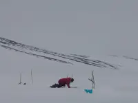 شمالگان-Arctic