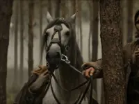 سه تفنگدار: دارتانیان-The Three Musketeers: D'Artagnan